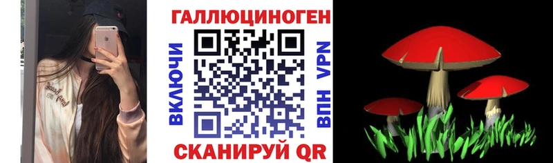 магазин продажи   Чусовой  Псилоцибиновые грибы мухоморы 